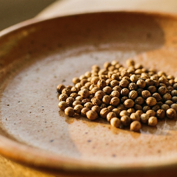 Coriander